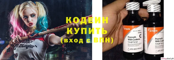 ГАЛЛЮЦИНОГЕННЫЕ ГРИБЫ Дмитриев
