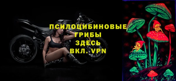 а пвп мука Елизово