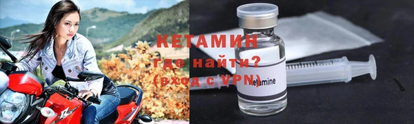 ГАЛЛЮЦИНОГЕННЫЕ ГРИБЫ Дмитриев