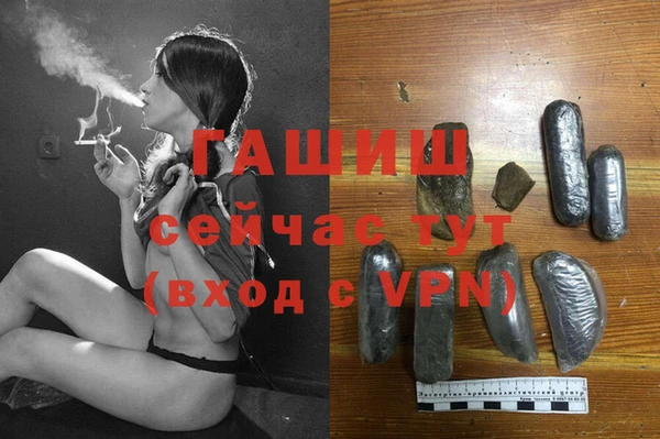 ГАЛЛЮЦИНОГЕННЫЕ ГРИБЫ Дмитриев
