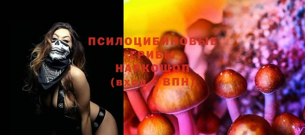 альфа пвп Дмитровск
