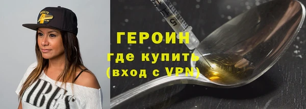 ГАЛЛЮЦИНОГЕННЫЕ ГРИБЫ Дмитриев