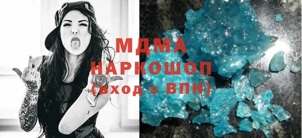 ГАЛЛЮЦИНОГЕННЫЕ ГРИБЫ Дмитриев