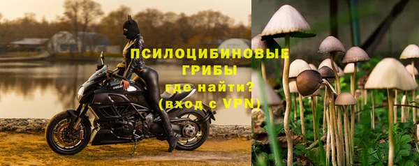альфа пвп Дмитровск
