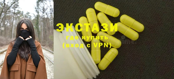 ГАЛЛЮЦИНОГЕННЫЕ ГРИБЫ Дмитриев