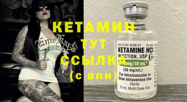 ГАЛЛЮЦИНОГЕННЫЕ ГРИБЫ Дмитриев